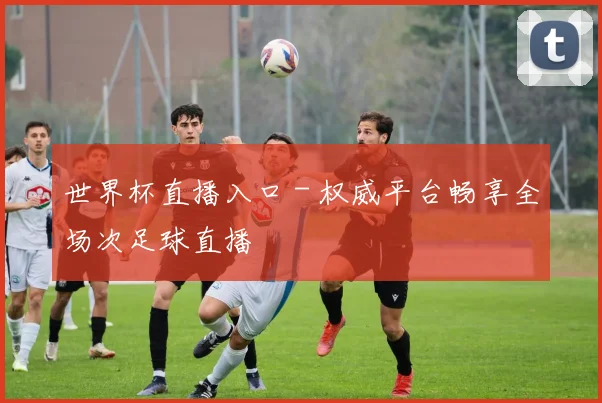 世界杯直播入口 - 权威平台畅享全场次足球直播